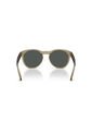 Gafas De Sol Arnette AN4371 Verde Hombre de ARNETTE
