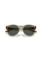 Gafas De Sol Arnette AN4371 Verde Hombre de ARNETTE