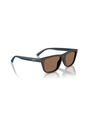 Gafas De Sol Arnette AN4376 Azul Hombre de ARNETTE