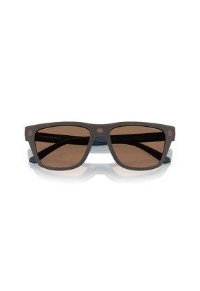 Gafas De Sol Arnette AN4376 Azul Hombre