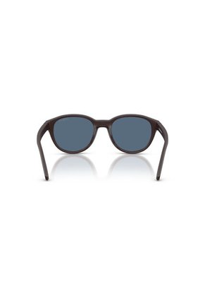 Gafas De Sol Arnette AN4375 Marrón Hombre