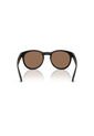Gafas De Sol Arnette AN4371 Negro Hombre de ARNETTE