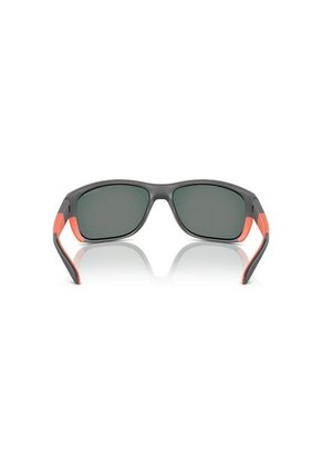 Gafas De Sol Arnette Floresta Hombre Gris