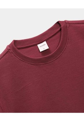 Camiseta Regular Fit Manga Corta Texturizada  Para Hombre Vino Atmos