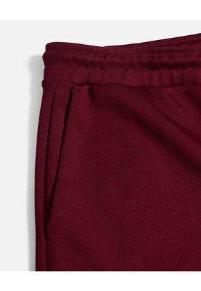 Jogger Básico Comfort Plush  Para Hombre Vino Atmos