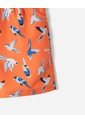 Pantaloneta De Baño Estampada Niño Naranja de BABY FRESH