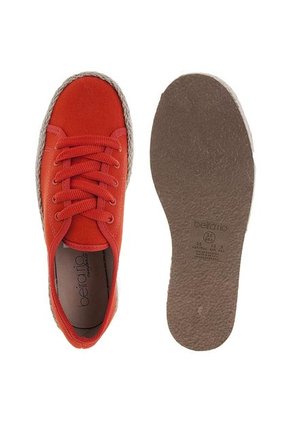 Creeper Naranja Beira Rio