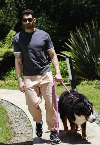 Camiseta Manga Corta Gris Para Hombre Belife