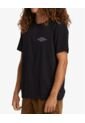 Camiseta Billabong Ss23 Crayon Wave de Billabong