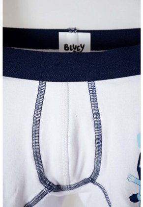 Pack X2 Boxer De Bluey Azul Y Blanco Para Niño 2T A 6T 4T