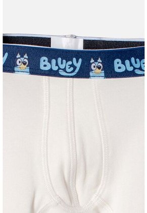 Pack X2 Boxer De Bluey Multicolor Para Niño 2T A 6T 5T