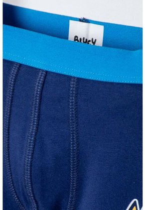 Pack X2 Boxer De Bluey Azul Para Niño 2T A 6T 2T