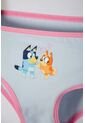 Pack X2 Panties De Bluey Multicolor Para Niña 2T A 6T 4T de BLUEY
