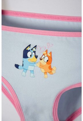 Pack X2 Panties De Bluey Multicolor Para Niña 2T A 6T 4T