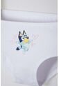 Pack X2 Panties De Bluey Multicolor Para Niña 2T A 6T 4T de BLUEY