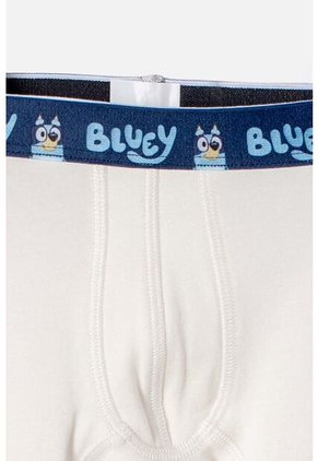 Pack X2 Boxer De Bluey Multicolor Para Niño 2T A 6T 2T