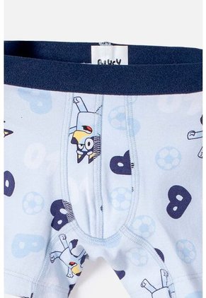 Pack X2 Boxer De Bluey Multicolor Para Niño 2T A 6T 2T