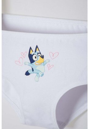 Pack X2 Panties De Bluey Multicolor Para Niña 2T A 6T 5T