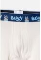 Pack X2 Boxer De Bluey Multicolor Para Niño 2T A 6T 3T de BLUEY