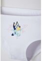 Pack X2 Panties De Bluey Multicolor Para Niña 2T A 6T 5T de BLUEY