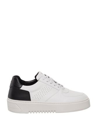 Tenis Para Hombre Warren Blanco Bosi Bosi