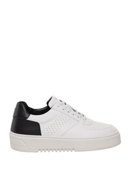 Tenis Para Hombre Warren Blanco Bosi