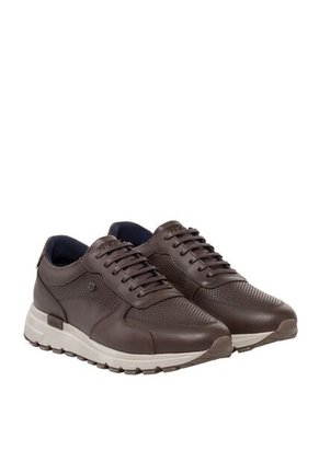 Zapatos Casuales Para Hombre Olmo Canela Bosi