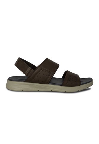 Sandalias Hombre Breaker - Color Café Breaker