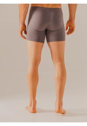 Bóxer Gris Bronzini Éxito