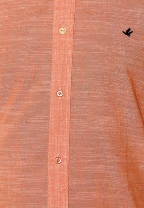 Camisa Curuba Brooksfield