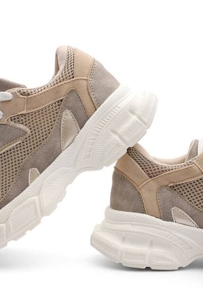 DEPORTIVO BEIGE BULL TERRIER CHIRA