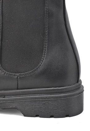 DANTE BOTA NEGRA BULL TERRIER