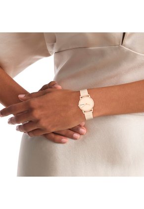 Reloj Calvin Klein Mujer 25100036