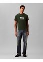 Camiseta Verde Con Estampado Gráfico De Logo En Estilo Bold Calvin Klein de Calvin Klein