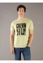 Camiseta Verde Stacked Graphic Crewnec Calvin Klein de Calvin Klein