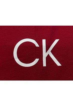 Camiseta Rosada Con Logo Traveling Calvin Klein