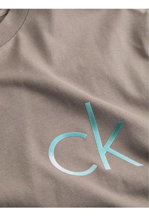 Camiseta Gris Con Logo Calvin Klein