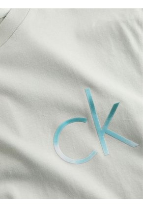 Camiseta Gris Con Logo Calvin Klein