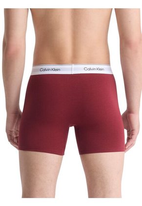 Pack Multicolor De 5 Boxer Brief - Modern Cotton Holiday Calvin Klein