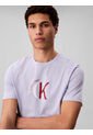 Camiseta Gris Con Gráfico De Logo Calvin Klein de Calvin Klein