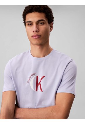 Camiseta Gris Con Gráfico De Logo Calvin Klein
