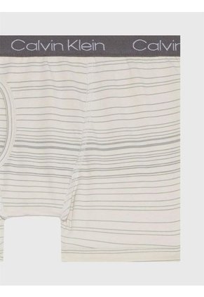Pack Multicolor De 3 Bóxers Brief Para Niño Calvin Klein