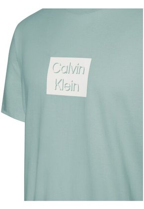 Camiseta Celeste White Bogo Graphic Crewneck Calvin Klein