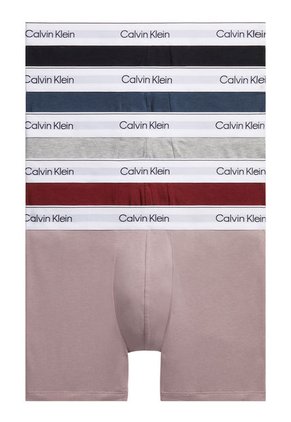 Pack Multicolor De 5 Boxer Brief - Modern Cotton Holiday Calvin Klein