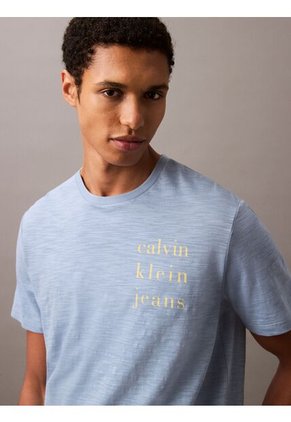 Camiseta Multicolor Classic Crewneck Calvin Klein