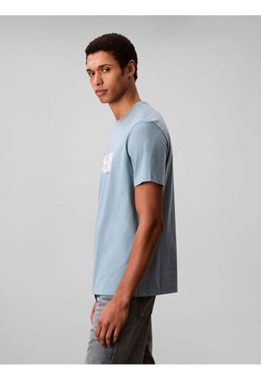 Camiseta Azul Con Estampado Gráfico Redbox Calvin Klein