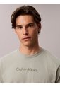 Camiseta Gris Standard Logo Calvin Klein de Calvin Klein
