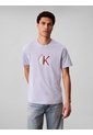 Camiseta Gris Con Gráfico De Logo Calvin Klein de Calvin Klein