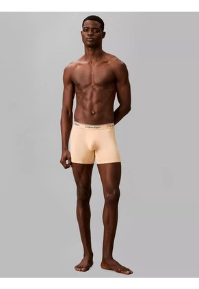 Pack Multicolor De 4 Bóxers Brief - Microfiber Stretch Calvin Klein