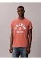 Camiseta Rosa Con Gráfico De Logo Calvin Klein de Calvin Klein